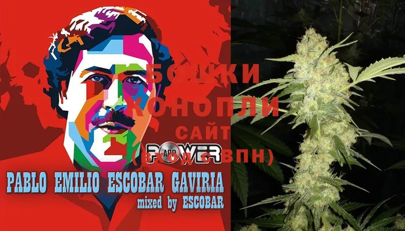 Конопля Ganja  Козельск 